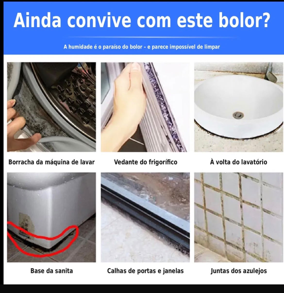Gel Removedor de Bolor